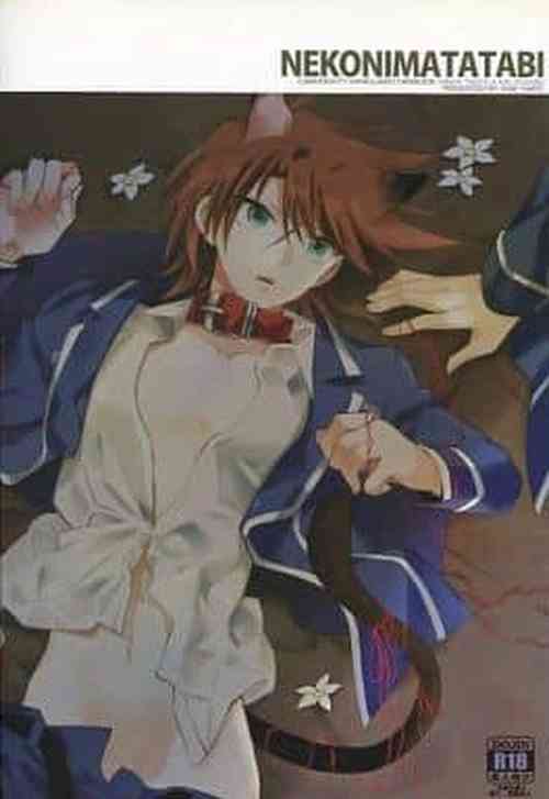 [4Dip] (Tarte) Nekonimatatabi Cardfight Vanguard!!