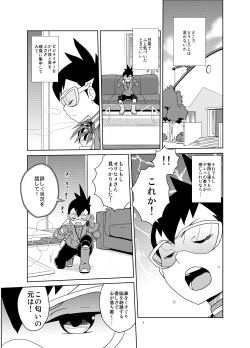 Page 4 of Materialize Shirogane Luna