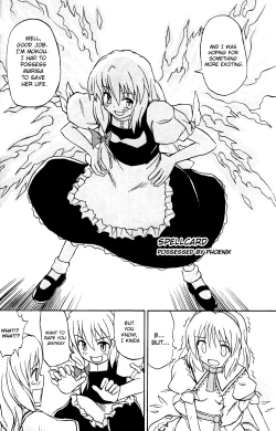 Page 17 of Touhou Youjo Ranbu | Touhou Enchantresse's Dance