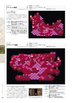 Page 197 of Kami No Rhapsody Perfect Guidebook