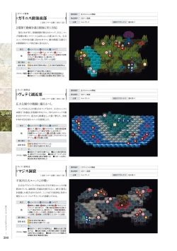 Page 199 of Kami No Rhapsody Perfect Guidebook