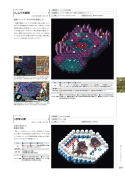 Page 202 of Kami No Rhapsody Perfect Guidebook