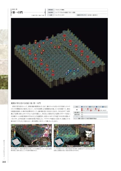 Page 207 of Kami No Rhapsody Perfect Guidebook