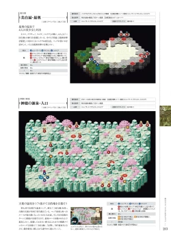 Page 212 of Kami No Rhapsody Perfect Guidebook