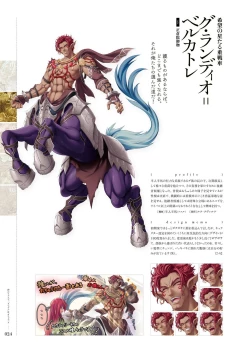 Page 23 of Kami No Rhapsody Perfect Guidebook