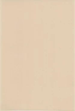 Page 3 of MAGICAL x magical