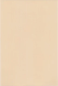 Page 4 of MAGICAL x magical