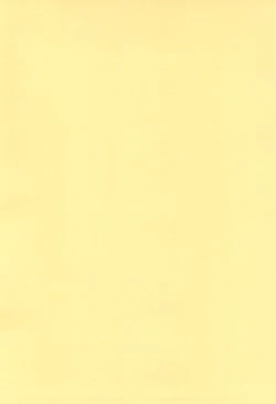 Page 4 of fancy baby doll