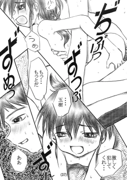 Page 36 of Déjà Vu