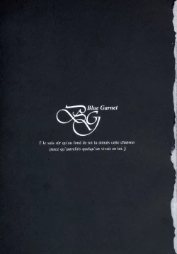 Page 2 of BLUE GARNET XVII