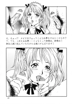 Page 14 of Hitozuma Minako-san no Himitsu Nikki