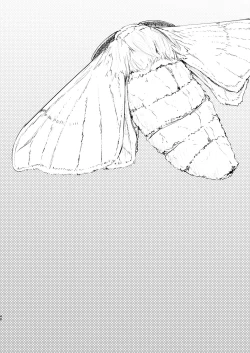 Page 40 of Shiragasane Kire+++