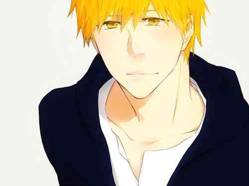 (3)] Raku ga ki-dzume ⑤(Bleach)