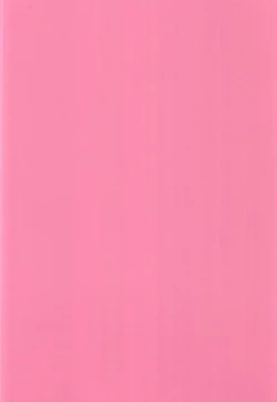 Page 29 of Koyanskaya Tamamo Bitch no Hon. 2