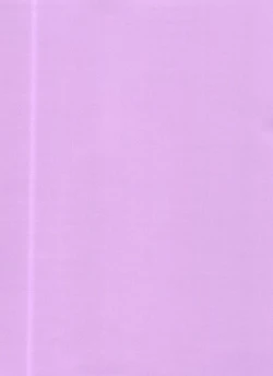 Page 2 of Nurunuru DE de~ro