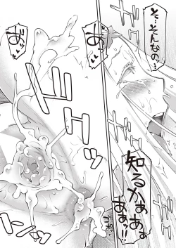 Page 335 of COMIC ExE 39