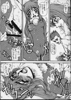 Page 29 of A House Cat