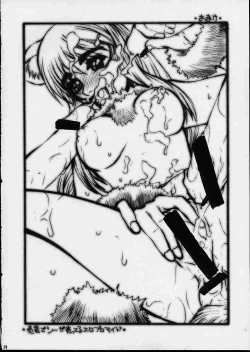 Page 33 of A House Cat