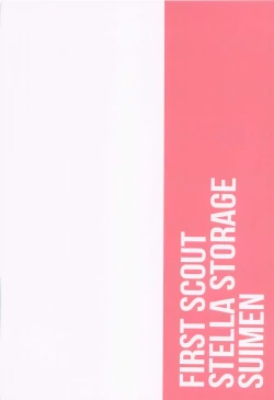 Page 30 of First Scout