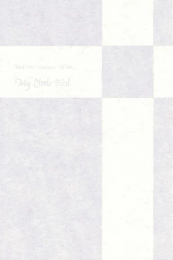 Page 2 of My Little Bird