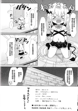 Page 17 of サキュバスちゃん召喚してみました