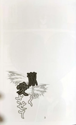 Page 2 of Hageshiku aisa sete