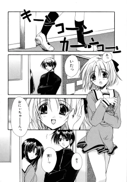 Page 164 of Nureta Tsubasa