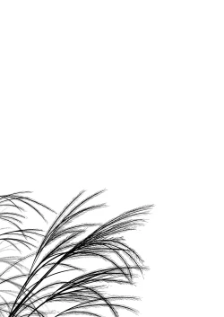 Page 20 of Hikari no Kimi no Saganaki Keikaku <Nokiba no Ogi>