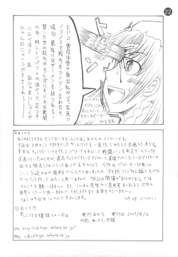 Page 20 of Remilia Ojou-sama to no Ichinichi