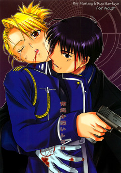 [REONGUMI] Doko ka Hukai Tokoro (Fullmetal Alchemist)