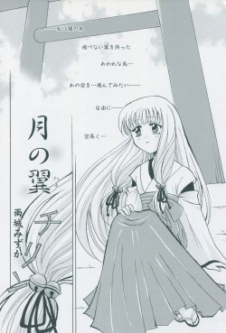 Page 161 of Tsukikagerou Official Visual Comic Anthology