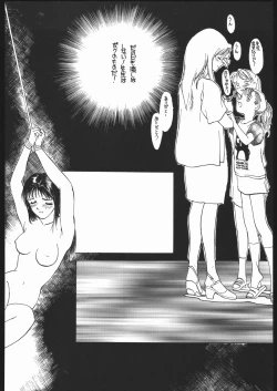 Page 43 of SEXCEED ver.7.0