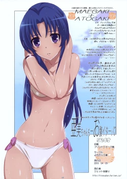 Page 2 of Ami Plus