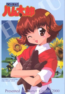 Page 1 of BM HAMTARO