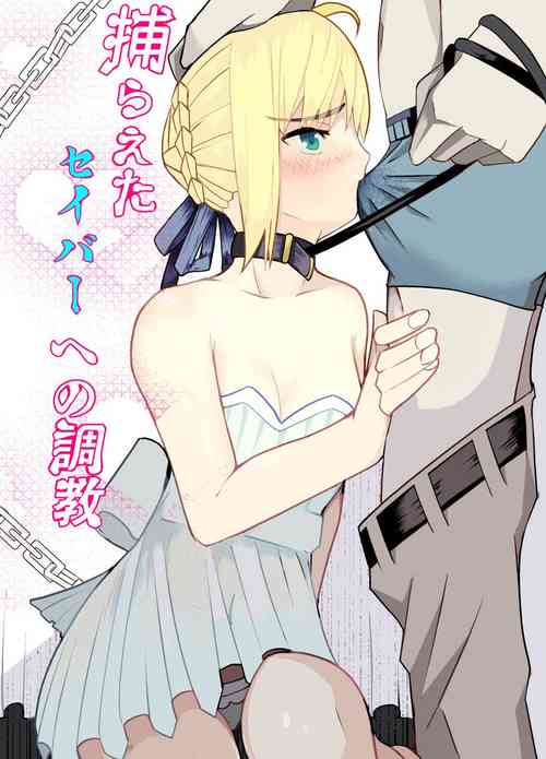 [Kiba o Muku (Mucuki Va)] 捕らえたセイバーへの調教 (Fate/stay night)