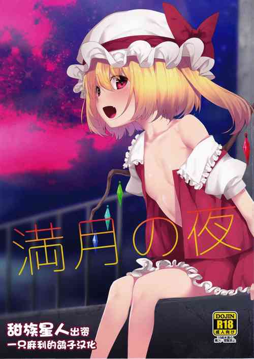 (Kouroumu 15) [Youyoumu (Nigo)] Mangetsu no Yoru ni (Touhou Project) [Chinese] [一只麻利的鸽子汉化x甜族星人出资]