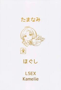 Page 19 of Tamanami Hogushi