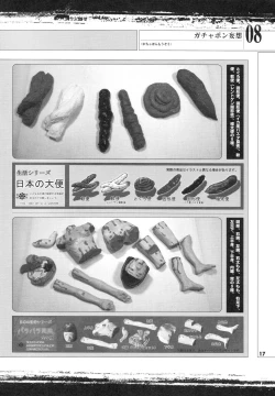 Page 13 of Tobidasu Mousou