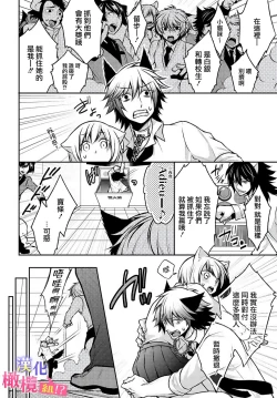 Page 42 of Zenkou Seito ni Nerawareru!? Osu shika Inai Kemono Gakuen| 被全校师生盯上了!? 只有雄性的怪物学园