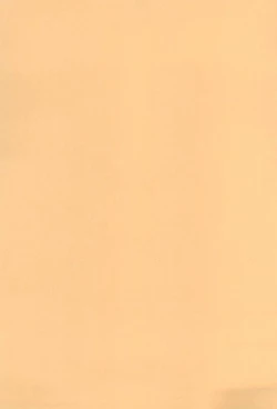 Page 25 of Momiji Naburi