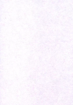 Page 29 of Nigorieki