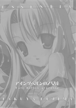 Page 3 of Einzbern no Otometachi