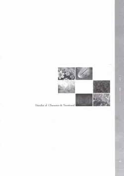 Page 82 of Battle Goddess 2Fanbook