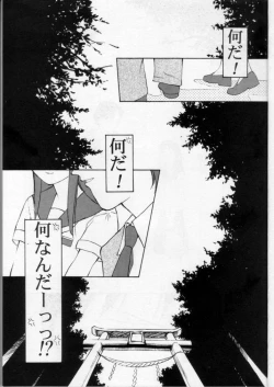 Page 4 of LIE II SAISHO NO XXX