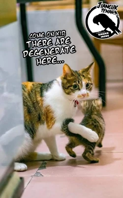 Page 22 of Mikokatsu