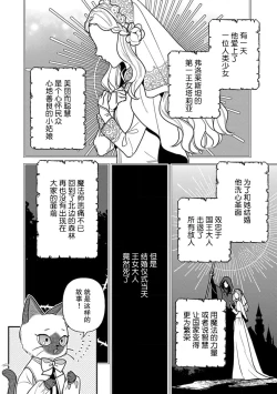 Page 73 of Tensei Oujo wa Saikyou Mahoutsukai no Ude no Naka | 与凶恶魔法师拥抱的重生王女 1-8 end
