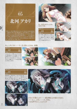 Page 79 of Soukoku no Arterial Perfect Guidebook