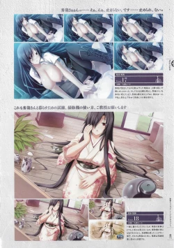 Page 90 of Soukoku no Arterial Perfect Guidebook