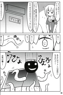 Page 20 of Tsurupeta Kenkyuu Houkokusho 011