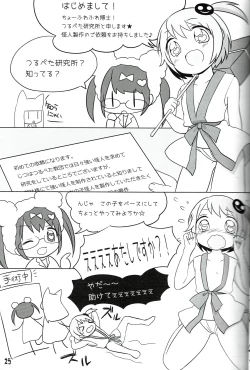 Page 25 of Tsurupeta Kenkyuu Houkokusho 011